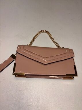 Aldo Tan Hand Bag/Clutch Shiny Finish New